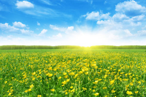 Spring season
