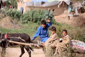 Children ride on a donkey cart at a slum in Pakistan